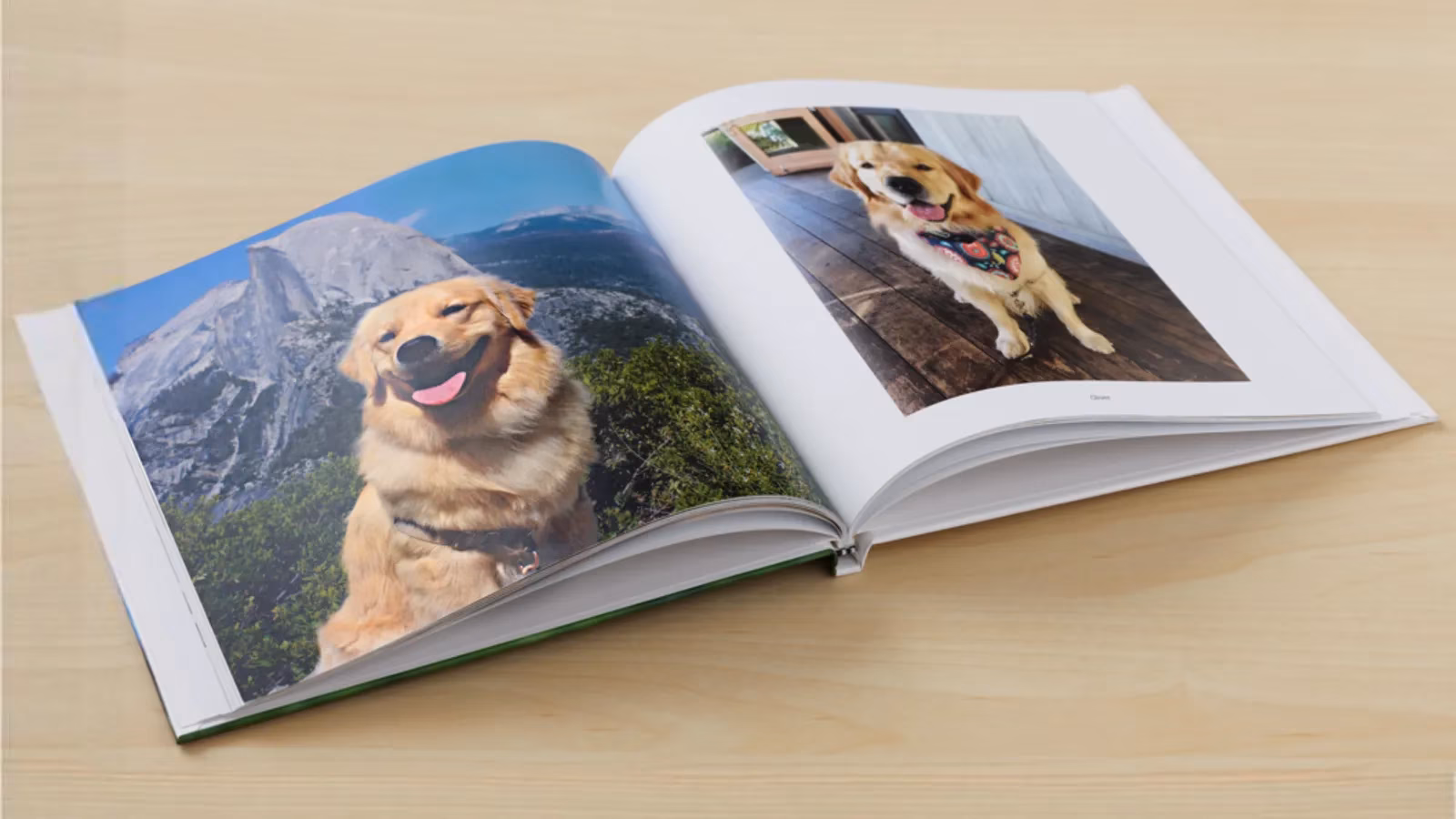 why-i-still-love-making-physical-photo-books-from-my-digital-memories-in-2026-image-0