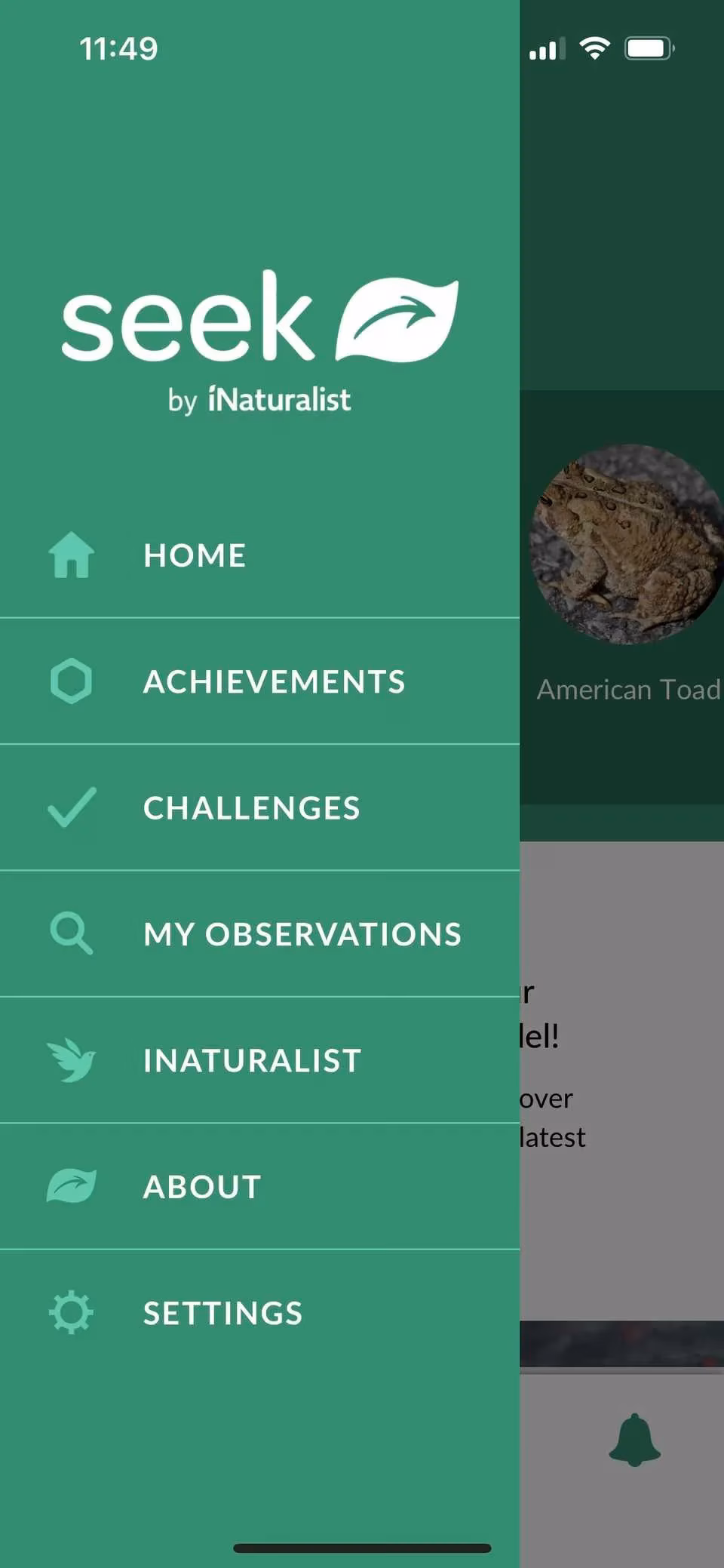 your-smartphone-camera-is-secretly-a-multitool-and-it-s-showing-off-image-4